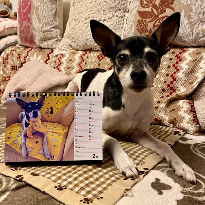 4347f4fb d06f 4395 b56c 5959cf0ee1bf 1612217410420