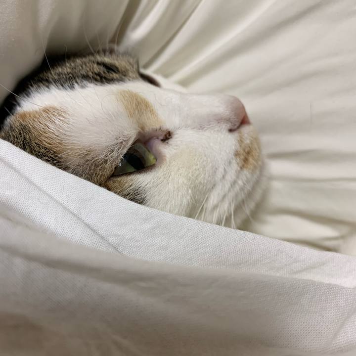 4348120a a34e 46af 9d2f ce95c84fd46a 1638060186894