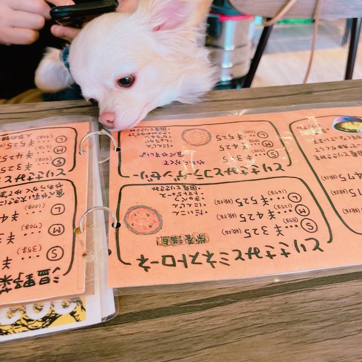 43483265 a92d 4a02 91ec fbf6d7462374 1669284864374