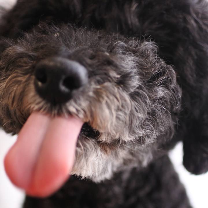 434869d2 7630 44a1 81fd b1b484d8e0b0 1776782970747