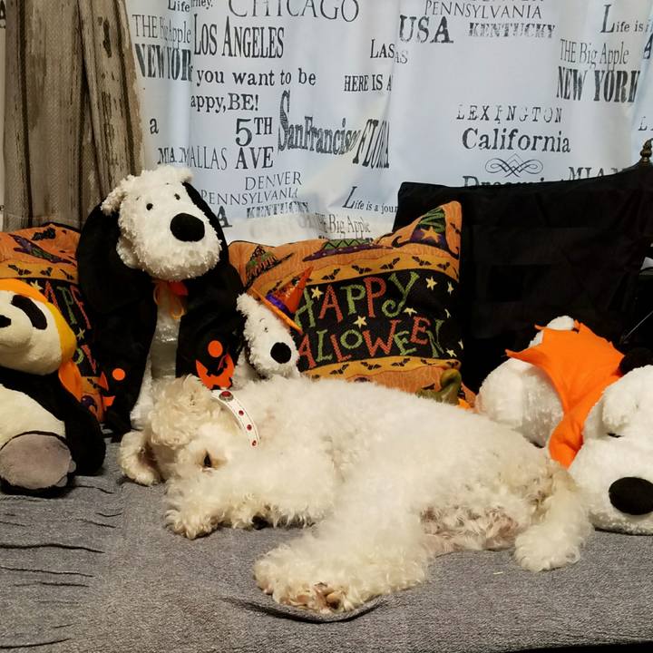 43489144 997c 4a02 9867 c9433b6cc87a 1509412153149