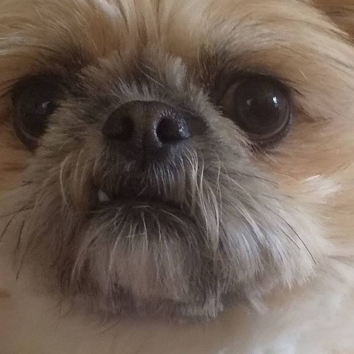 4348e1ab 2ccf 4e22 a5b0 f5919fcb6727 1735088339750