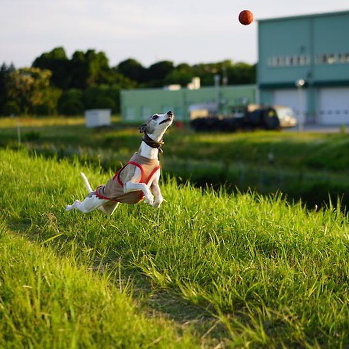 43494b3e 123e 432e 8e62 85e529c300c0 1537960507315