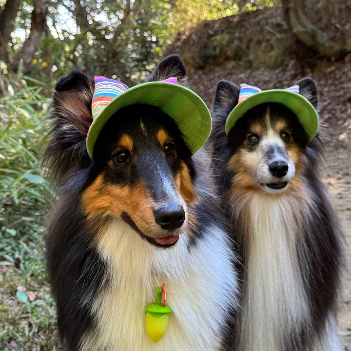 43496b8d 6955 4305 9c23 6063eebe17e3 1762634567930