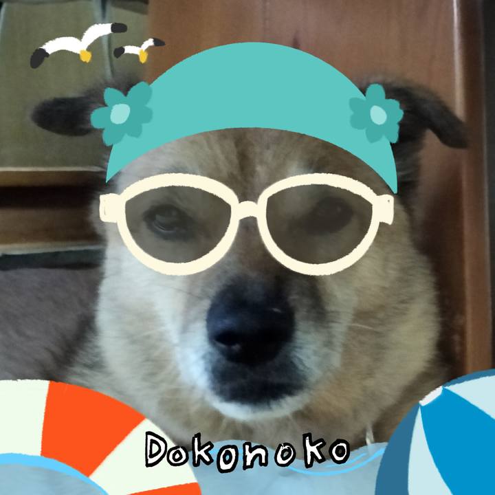 4349a4c2 4fcd 4aff af03 57cb7182bff5 1723170463171