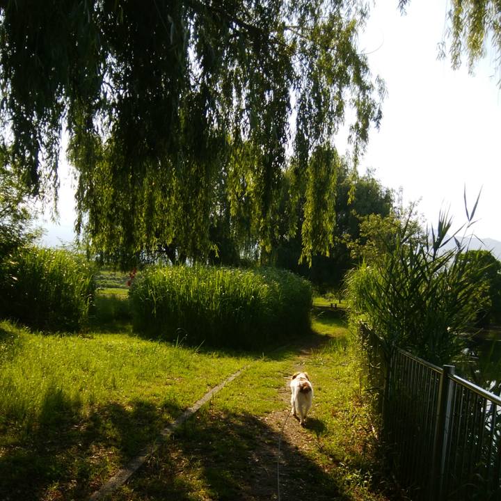 434a32f5 7007 46e6 a44e 83e77cc6b037 1527986076252