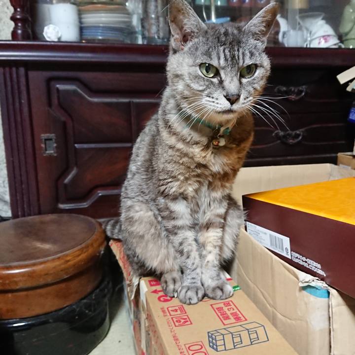 434a5584 f46a 45bc b574 9f866c32b0ca 1567684153459