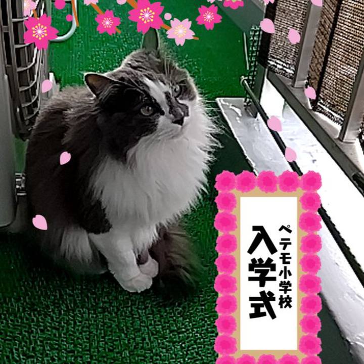 434a6f93 413f 4be5 94dc 3fced2c44043 1617274944267