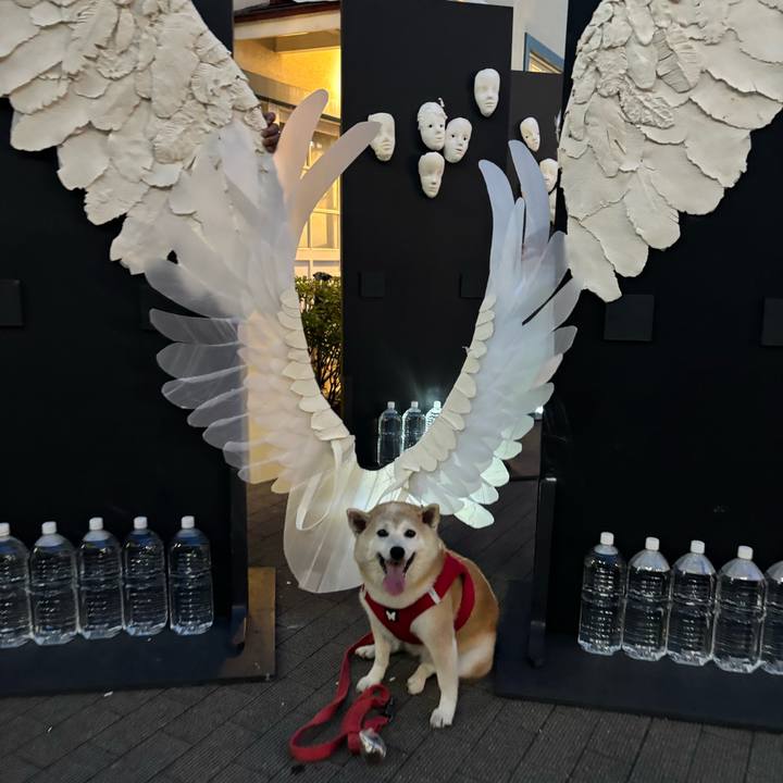 434a9fb2 44f8 41e8 9dfb 30bedce72d2c 1750541498631