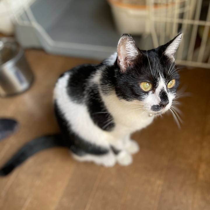 434aa196 122e 461e 860b 18c7331372b1 1763953566278