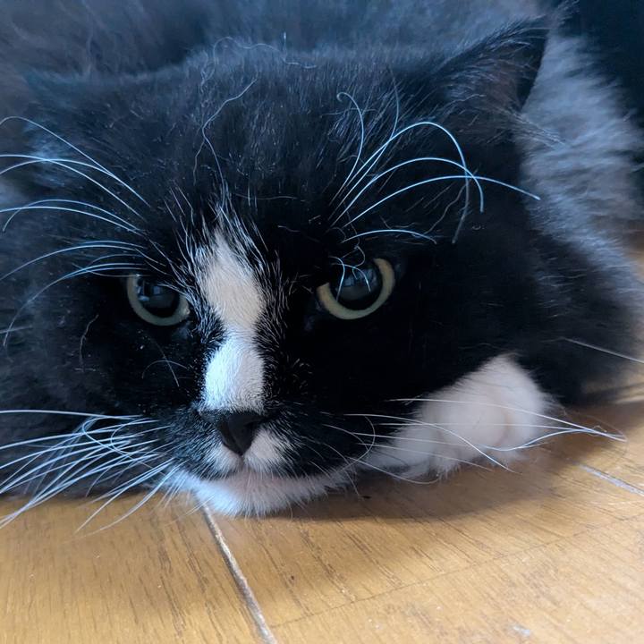 434abfc2 f12e 4cb8 9e7b 40c036e76d53 1754947103618