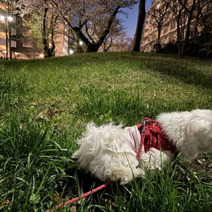 434ac85b 47b6 4191 9508 0c31d1f50d6b 1744209547799