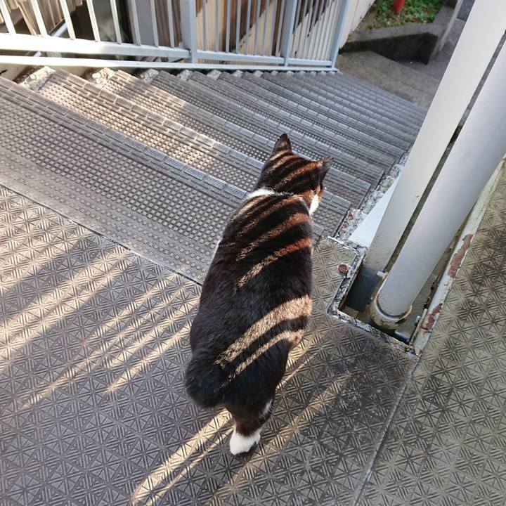 434acf1d 3415 4826 b9f3 0639c06bcce6 1603757016648