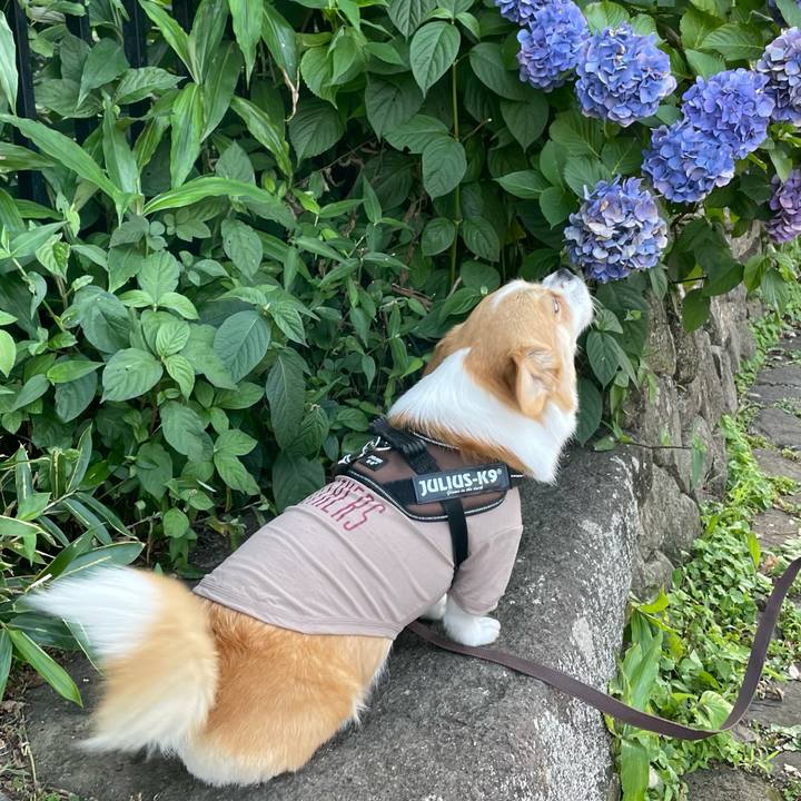 434aec54 be63 41ec b88d 98f45410e32e 1687572422784