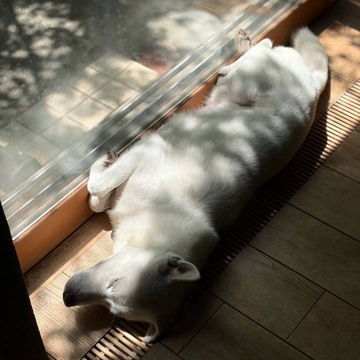 434af3cb e485 41b6 9f97 ad8238579f9a 1775619374043