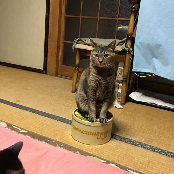 434b1903 702f 4cb0 a3b6 f13d7d086847 1685015848827