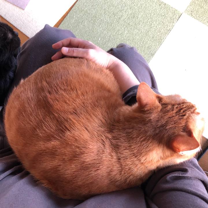 434b1fda 218e 4f27 805c 98d3a0927967 1635211044537