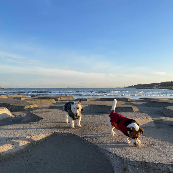 434b97fd fd0c 47db a150 e682b342e9f5 1672187006374