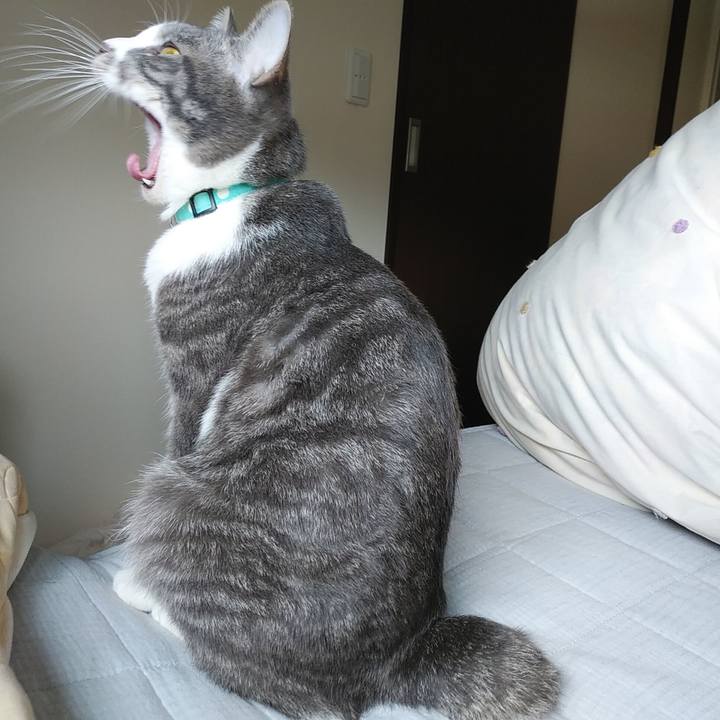 434ba802 073c 42b3 ba2b da61a2e18a79 1586219167160