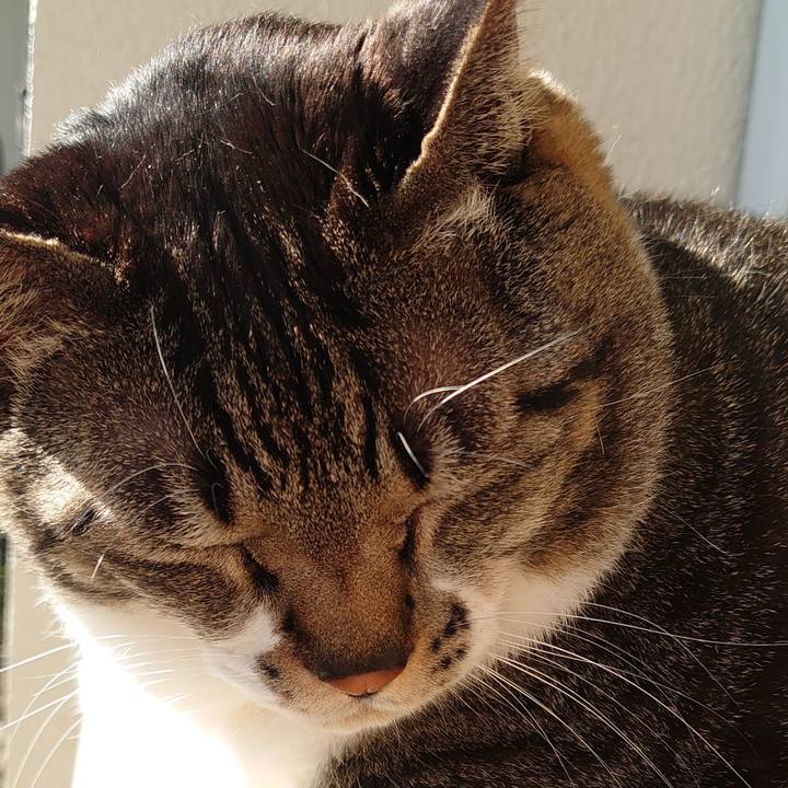 434bb54a 56d1 45b6 a3c6 474aec341377 1612659151395