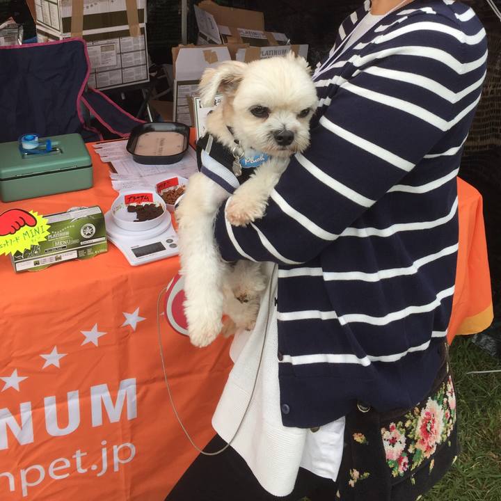 434bbe49 900a 48b5 9894 915875741629 1539556907958