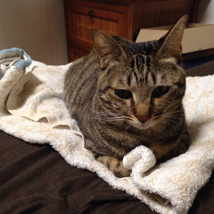 434bc549 b31d 4621 965a 0cffce19a581 1512989530964