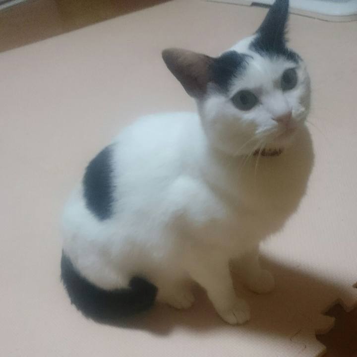 434bd245 8b39 417a ab12 571c8046362a 1522063995526