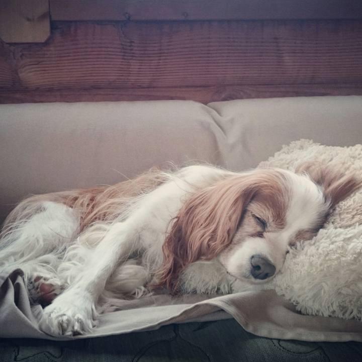 434be9ac ffff 4277 ae97 85b6c3a9ef31 1514425159791