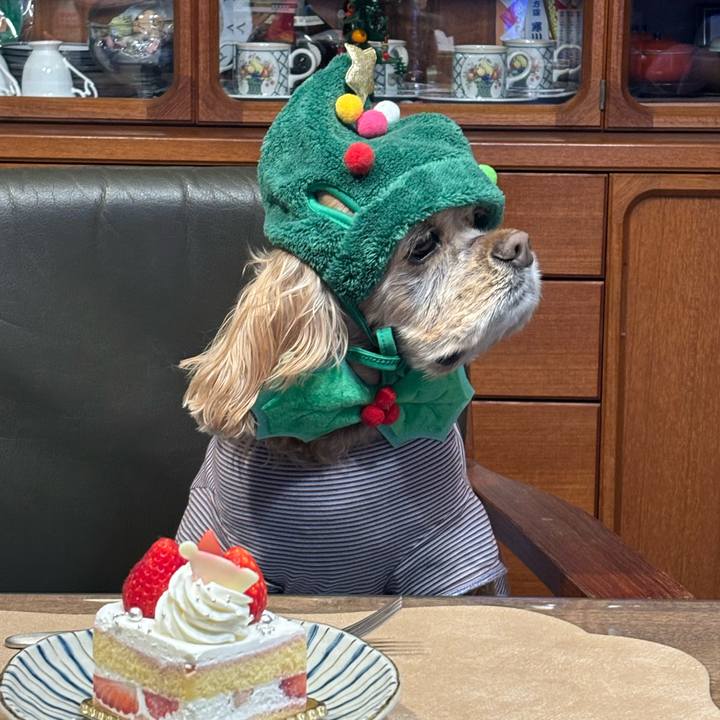 434bed67 a567 4bdd 90c4 bb449fd088fb 1766674863075