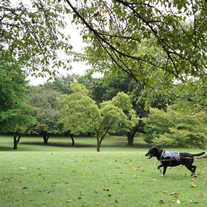 434c3f09 0c3d 4aa1 876d 5d601c8e850e 1757635356036