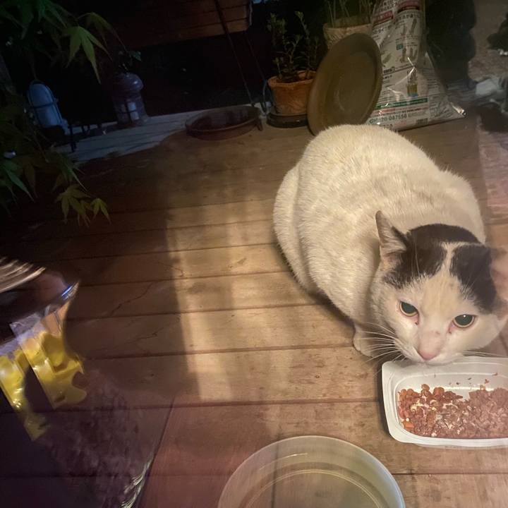 434c45ed ad64 40f3 bd17 8eda6840995d 1618847440113