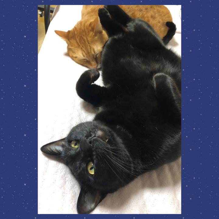 434c61c1 a9be 4415 9dc8 b4d48e4b0019 1707210191528