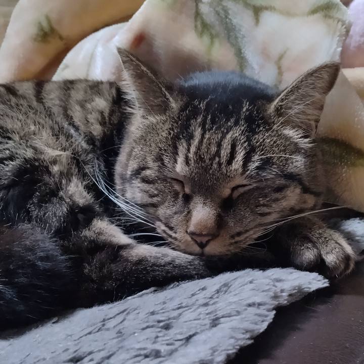 434c7685 bc70 4396 aa42 b7d8bcf98900 1671709009054