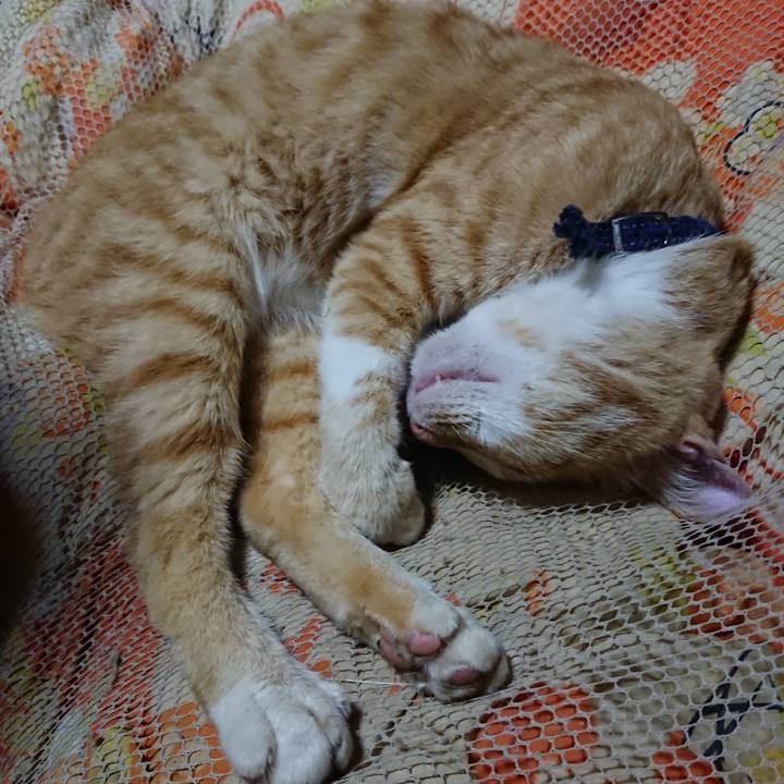 434c770a 0cc3 458c 937c 4fb533f1035f 1562251308646