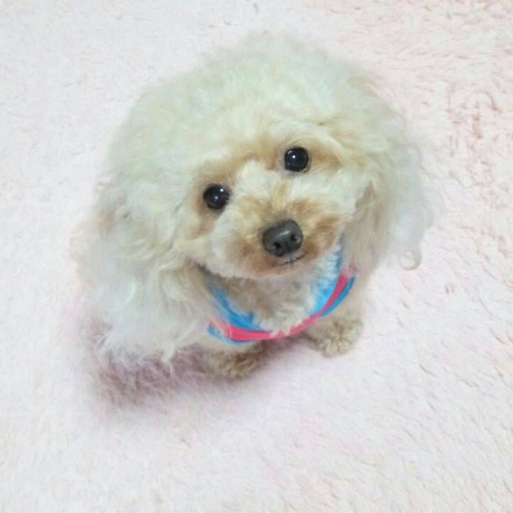 434c8d15 5350 40bb 92c6 21fdc3f77e78 1539947262103