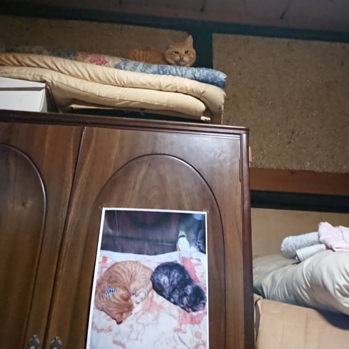 434ca4d0 27cc 4069 9faf 0537e1b2d01f 1640379092530