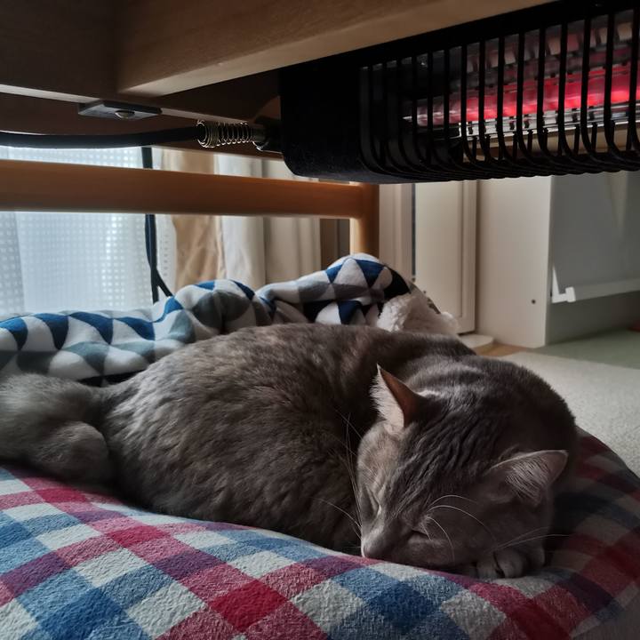 434ccf06 4a48 475f 92e9 2ff4ba33d9c1 1602909153458