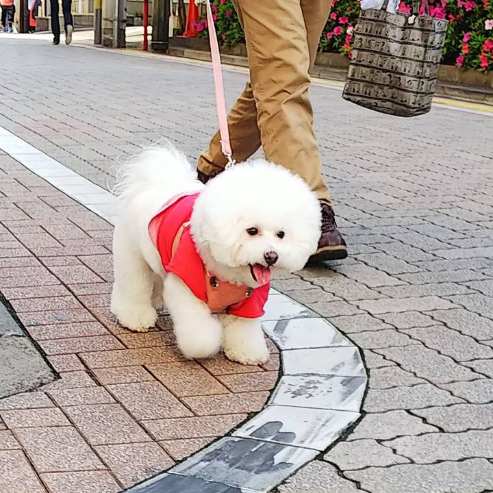 434d7724 ea79 4f3e 82ad 1324bf9ee6ac 1556785633755