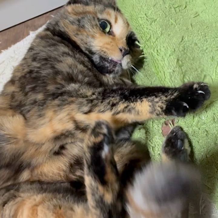 434d7c33 3225 4af9 b96c d46de6e5d6fe 1765660111713