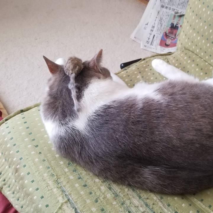 434d9804 3c77 4bb5 a968 035f1bd9dc3b 1640447384108