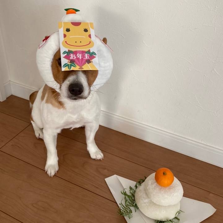 434dc22f 2c39 4f52 a789 01c6846108ff 1641005170247