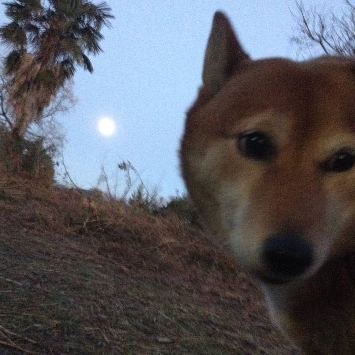 434de6d8 a9f7 4859 803d 5ad4eadd042c 1519897342138