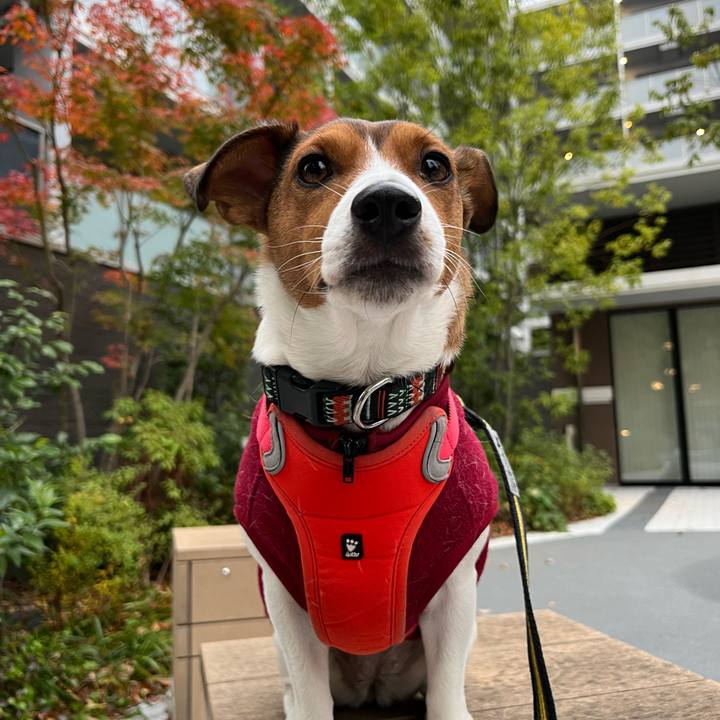 434de7dc 7e3d 40d7 ba40 d9a57753f445 1764943625748