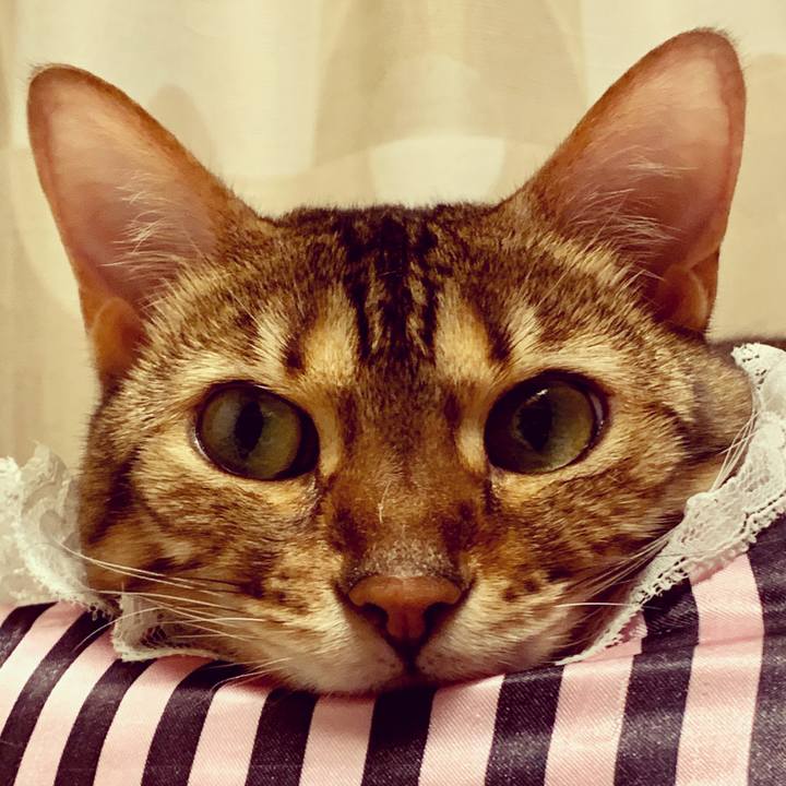 434df184 3eaa 49e8 ae18 26d98b48266d 1561257039482