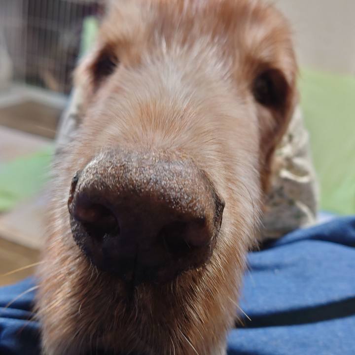 434df22a a38e 4828 adf8 bf4fb8326fdf 1739505968115