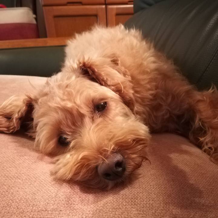 434dfe84 d509 48c8 a30e 7fd9573c07a9 1565653451965