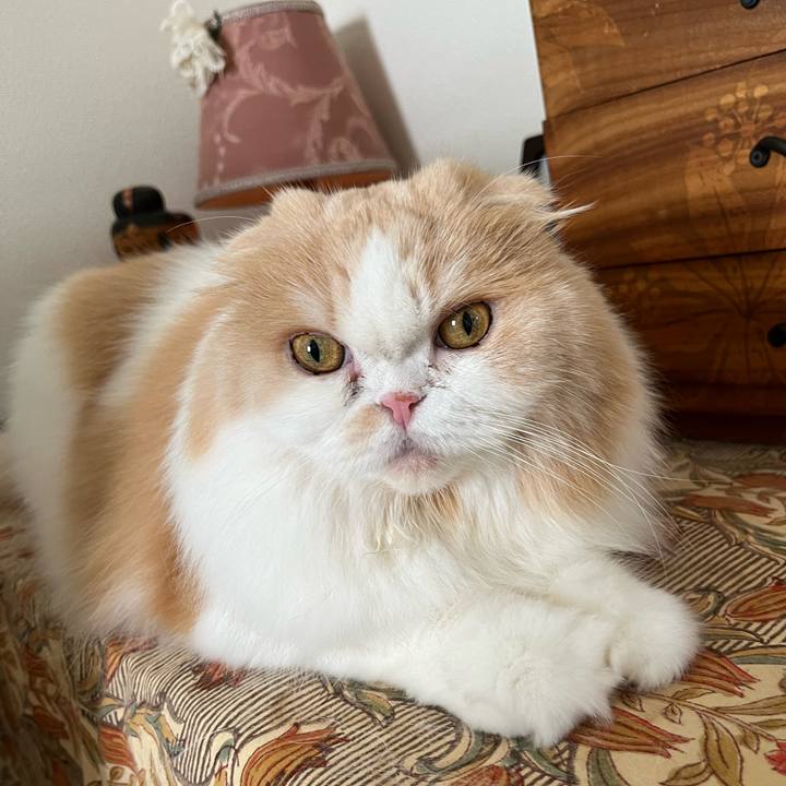 434e1135 209f 433b 8b55 0a9030373ad1 1724567974214