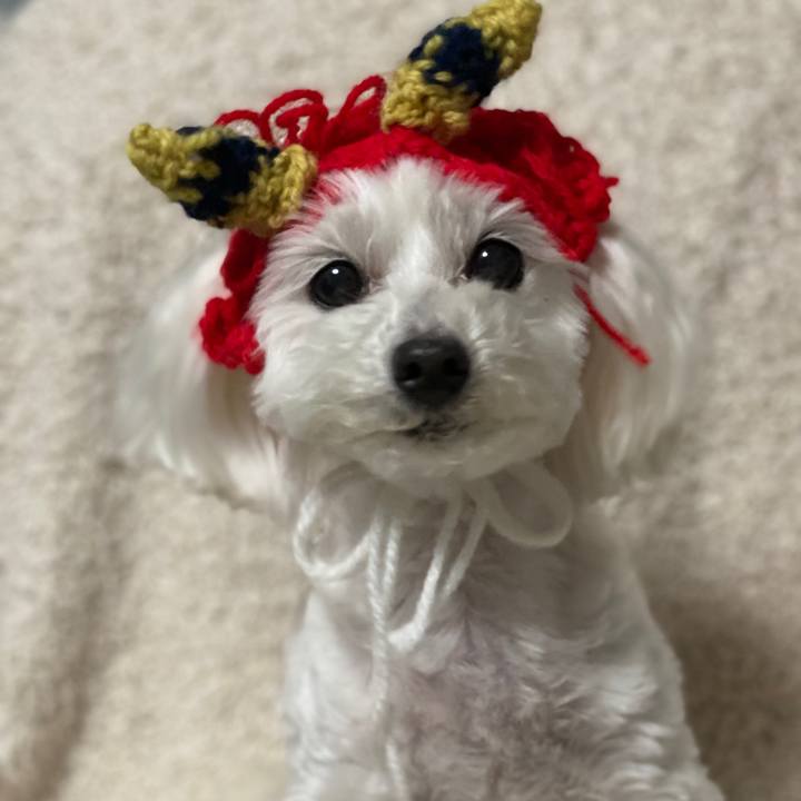 434e16a3 f5ee 4fb6 9a4c cf64ec7c39a9 1643891420337