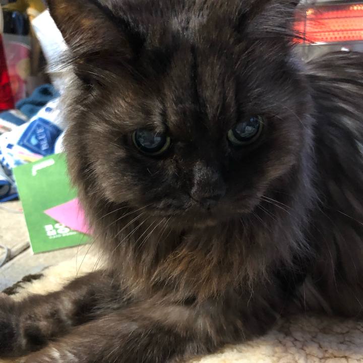 434e294d b37b 48b3 9f3f b74d48d350e6 1551048750660