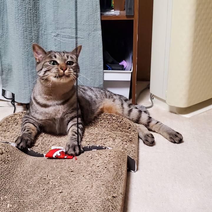 434e50b9 a48e 4834 9a49 f73aa5e92c52 1716950135356